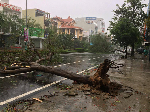 Một số tuyến đường tại Phú Yên cây xanh gãy đổ ngổn ngang.