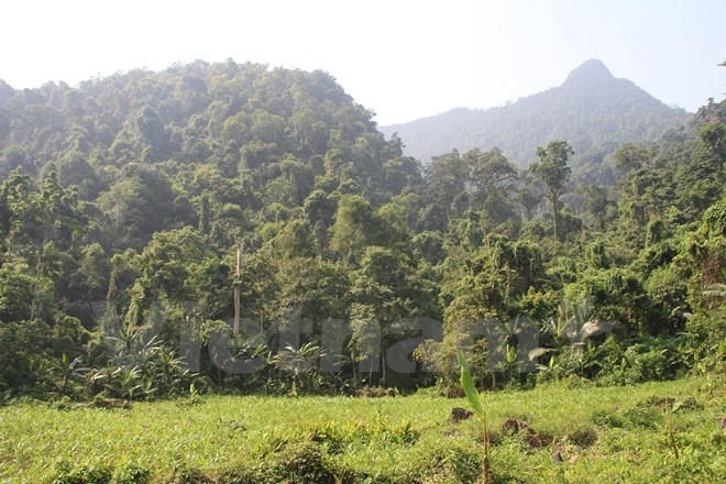 (Ảnh: H.V/Vietnam)          &nbsp;