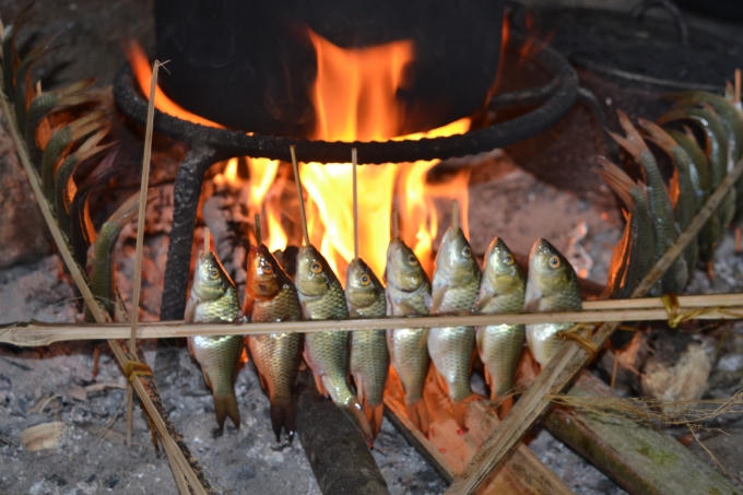 Cá chép mang về có thể được chế biến thành nhiều món khác nhau. Người dân cho rằng môi trường sống của cá vô cùng sạch, lại chủ yếu ăn bông lúa, nên cá thường được để nguyên ruột, không mổ.