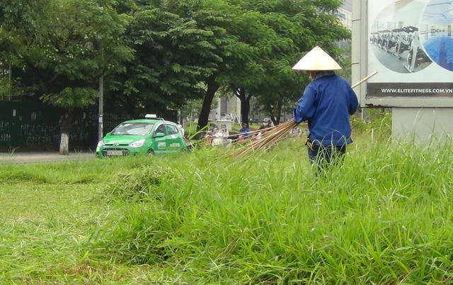 Các tuyến đường như Đại Lộ Thăng Long, Trần Duy Hưng, Nguyễn Chí Thanh có dại, cây hoa tốt ngập đầu người.