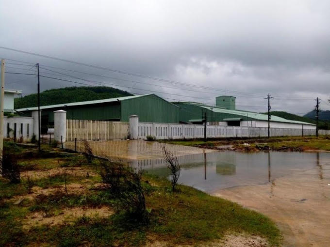 Quá trình hoạt động thử nghiệm, Nhà máy sản xuất viên nén gỗ của Công ty NLSH Vân Canh xả nước thải trực tiếp ra ngoài, ảnh hưởng môi trường xung quanh.