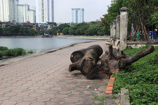 Tuy nhiên thời gian gần đây, công viên Indira Gandhi đang có những biểu hiện xuống cấp. Lối đi trong công viên, gạch vỡ vụn, nằm ngổn ngang, nhiều thân gỗ lớn nằm "chềnh ềnh" ngay trên lối đi bộ ven hồ.