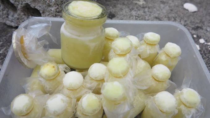 Sau thời gian dài tự mày mò ông Ấn đã sản xuất thành công sữa ong chúa sạch để cung cấp cho thị trường. Hiện ông có 10 đàn ong chuyên để lấy sữa ong chúa với sản lượng 7 lít / 1 năm.