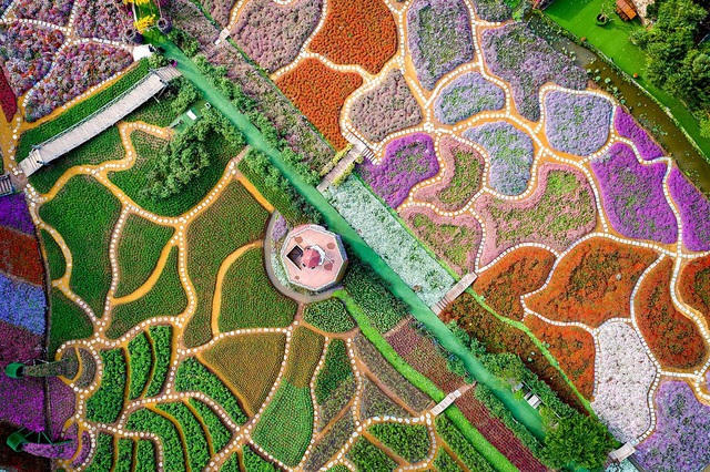 Bức “Valley of flowers” (Thung lũng hoa) của @nguyentungviet