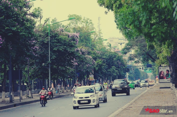 Phố Kim Mã đẹp nhất trong năm chính là khi tháng 5 về.