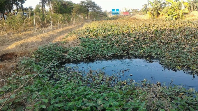 Nguồn nước được người dân cho rằng Cty Dệt Hopex xả ra môi trường.