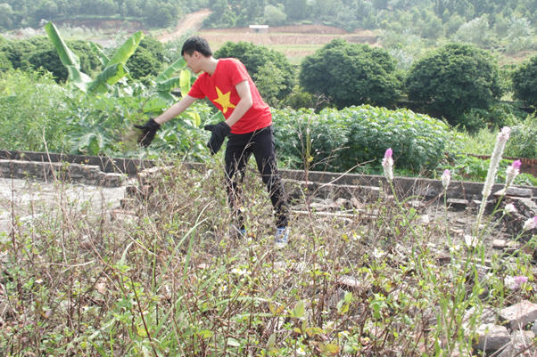 Bạn Lê Quốc Khánh (nguyên đội trưởng đội thanh niên tình nguyện Học viện Quản lý giáo dục), giúp các cụ dọn cỏ trên trần nhà.