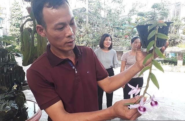 Mẩu phong lan siêu lạ ở Thái Nguyên giá 9 triệu một cm