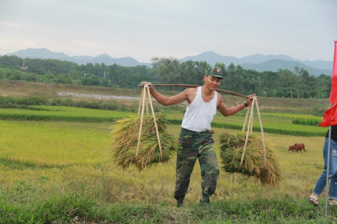 Thực hiện chỉ đạo của Bí thư tỉnh ủy Quảng Ninh, không chỉ kêu gọi riêng Bộ đội mà tất cả các doanh nghiệp có công nhân là con em vùng nông thôn đều ưu tiên bố trí cho các công nhân này được nghỉ để về nhà hỗ trợ gặt lúa.