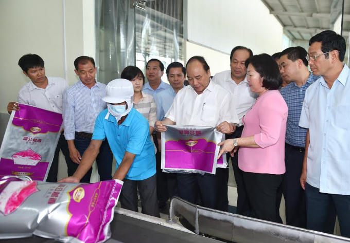 Thủ tướng Nguyễn Xuân Phúc đã đến thăm dây chuyền kho trữ, công nghệ sấy và tiêu thụ gạo tại Nhà máy Chế biến lương thực Thành Tín, TP. Sóc Trăng.
