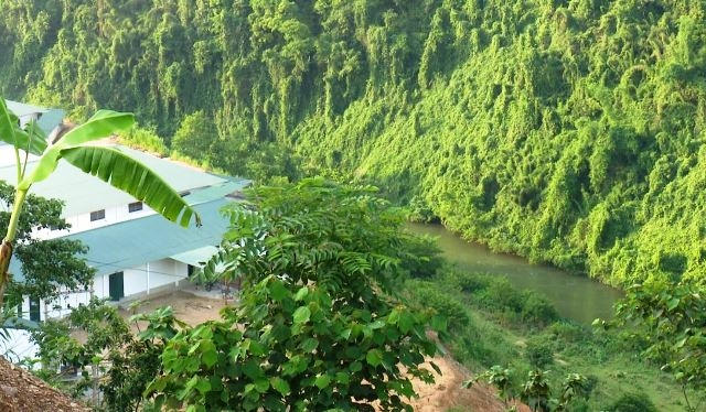 Vụ trang trại lợn xả chất thải ra môi trường: Sở TNMT Bắc Kạn đề nghị đình chỉ hoạt động