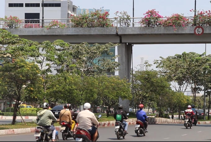 Cầu bộ hạnh để làm cảnh ở Thành phố Hồ Chí Minh.