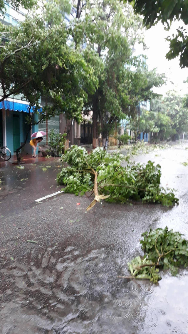 B&atilde;o số 12: Những h&igrave;nh ảnh thiệt hại đầu ti&ecirc;n tại Nha Trang, Ph&uacute; Y&ecirc;n