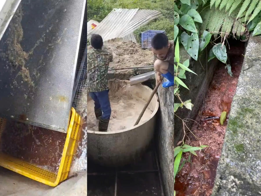 Hình ảnh đường mương dân trực tiếp từ cơ sở và bể chứa có dấu hiệu xả trực tiếp ra môi trường, không qua xử lý (hình ảnh người dân ghi nhận vào tháng 5/2025)