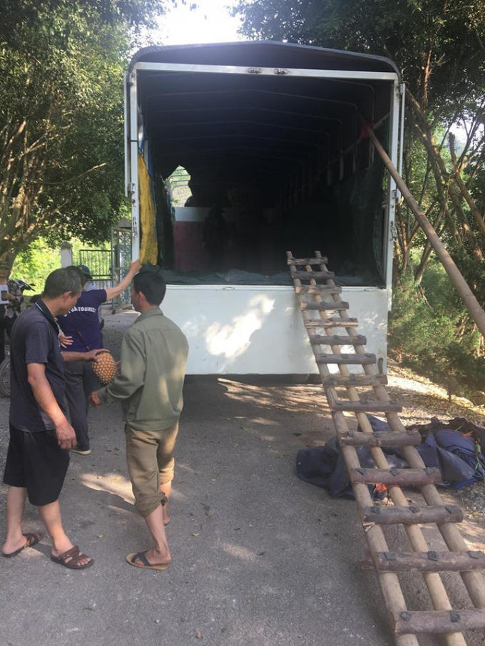 Chiếc thang được bắc lên xe để người mang dứa lên thuận tiện hơn