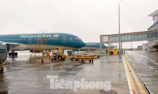 Anh260.
