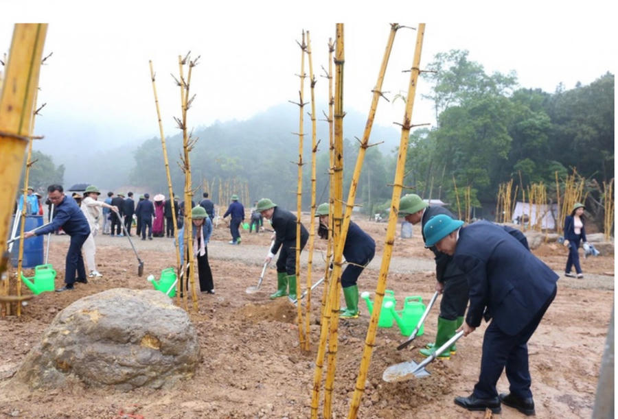 Bên cạnh tre, các loài cây gỗ lớn như thông, bàng lá nhỏ, muồng vàng, sang... cũng được lựa chọn kỹ lưỡng để phù hợp với thổ nhưỡng và khí hậu địa phương.