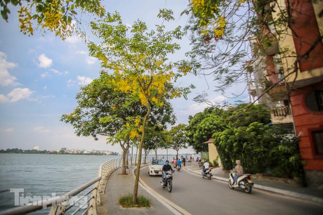 Những phố hoa Hà Nội làm xao xuyến lòng người - ảnh 14