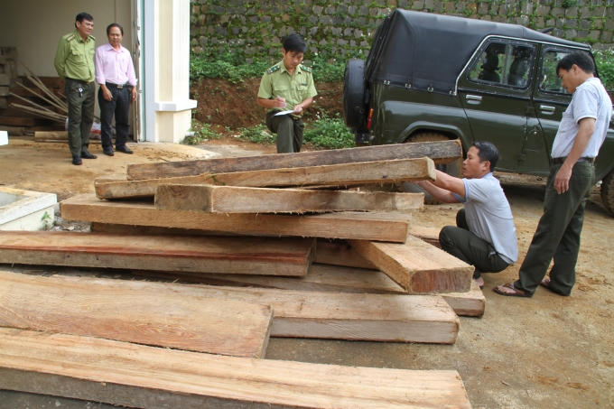 Số khỗ vô chủ đã được tập kết tại Hạt kiểm lâm.
