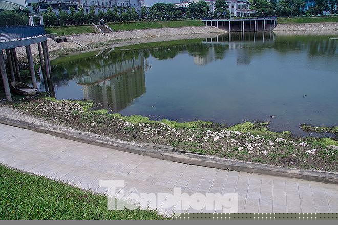 Sau khi báo Tiền Phong phản ánh, Công viên Thanh Xuân đã được xử lý làm sạch bè tấm và cỏ dại mọc ở những vị trí cạn nước ở lòng hồ điều hòa.