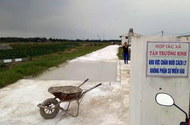 HTX chăn nuôi lợn Trường Sinh, nơi xảy ra vụ việc đáng tiếc trên.