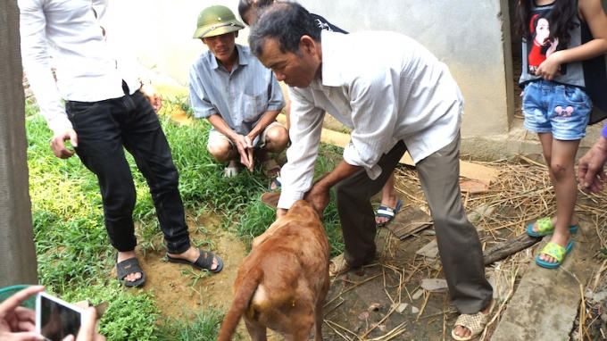 Nghệ An: H&agrave;ng trăm người k&eacute;o nhau đi xem con b&ecirc;... 7 ch&acirc;n