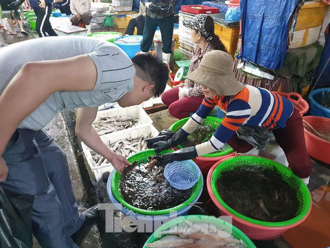 Khách mua được tư vấn kỹ càng trước khi quyết định chọn mua loại hải sản nào. Đa số những tiểu thương ở chợ Hạ Long I đều là dân chài từ vùng vịnh nên họ rất thật và nhiệt tình với khách.