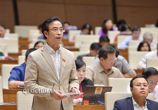 Đại biểu Nguyễn Quang Tuấn (đoàn TP Hà Nội)