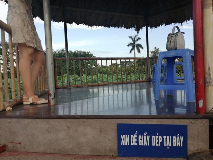 Trăm gốc tường vi đua nhau khoe sắc tại Tam Hiệp - Hà Nội - Hình 11