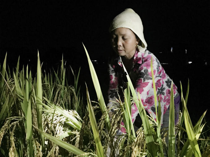 Bắc Giang: Tr&aacute;nh nắng
