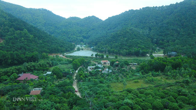 Từ năm 2017, UBND thành phố Hà Nội có công văn đề nghị sở, ngành liên quan thực hiện các nội dung kết luận thanh tra liên quan đến quản lý, sử dụng đất rừng trên địa bàn huyện Sóc Sơn. Trong đó có yêu cầu kiểm tra lại các mốc rừng đã cắm, khôi phục lại các mốc giới đã mất; sớm hoàn thành việc cắm mốc ranh giới đất rừng theo quy hoạch để phục vụ công tác quản lý. Tuy nhiên, việc chậm trễ hoàn thành đo đạc bản đồ đất rừng theo quy hoạch đã gây khó khăn cho việc quản lý, phát sinh nhiều trường hợp vi phạm xây dựng