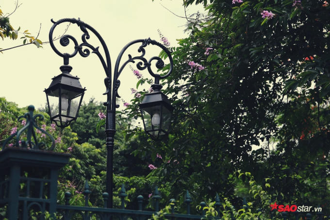 Hoa phủ lên tường những căn biệt thự.