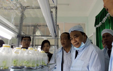 Phó Thủ tướng Nguyễn Xuân Phúc thăm Trung tâm Sâm Ngọc Linh, huyện Trà My, Quảng Nam.