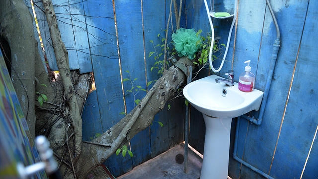 Nhà vệ sinh cũng... trên cây.