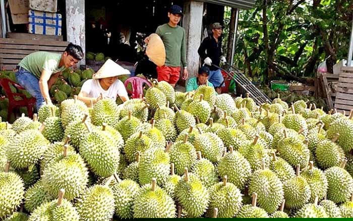 Trung Quốc siết mạnh, khối h&agrave;ng tỷ USD của Việt Nam đổ dốc