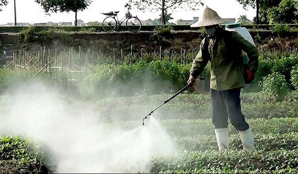 Thực phẩm không an toàn chiếm 35% nguyên nhân gây ung thư tại VN.