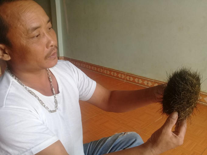 Sau khi mổ lợn hơn 2 tạ, gia đình ông Hùng phát hiện vật thể lạ giống "cát lợn