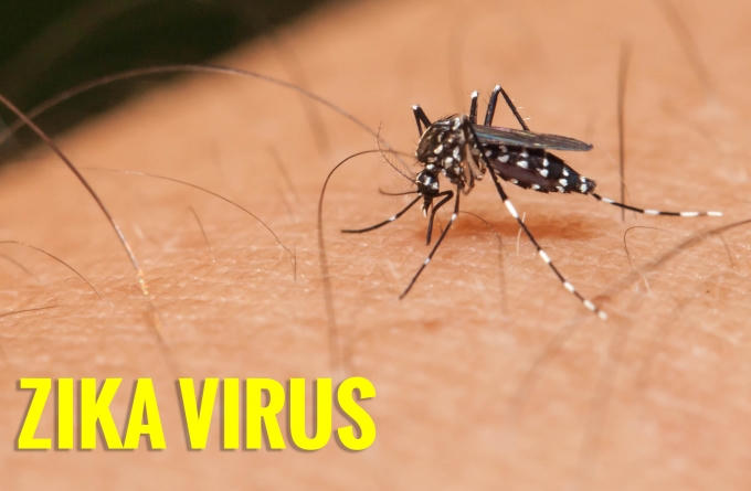 Tính cho đến thời điểm hiện tại, cả nước đã ghi nhận 45 ca nhiễm bệnh do virus Zika. Ảnh: minh họa