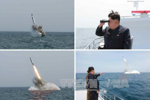 Nhà lãnh đạo Triều Tiên Kim Jong-un quan sát một vụ thử tên lửa đạn đạo từ tàu ngầm ở gần Sinpo, vùng bờ biển phía đông bắc Triều Tiên ngày 9/5/2015. (Ảnh: EPA/TTXVN)
