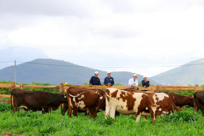 Vấn đề kiểm so&aacute;t bảo vệ mội trường lu&ocirc;n l&agrave; mối quan t&acirc;m h&agrave;ng đầu của Vinamilk.