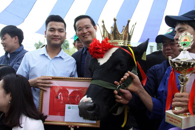 Ông Nghiêm Văn Thắng, Phó Chủ tịch HĐQT GTN Foods, Thành viên HĐQT VILICO (đeo kính) chia vui cùng "tân" Hoa hậu Bò sữa Mộc Châu 2017 và chủ bò. Ảnh: Huy Pham