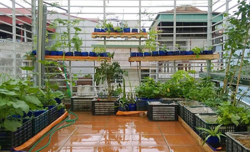 Theo lời khuyên của anh, nếu có thể thì mua vải địa kỹ thuật sẽ bền hơn, dùng được đến 5 năm, dung tích lớn hơn và đỡ mất công may vá.