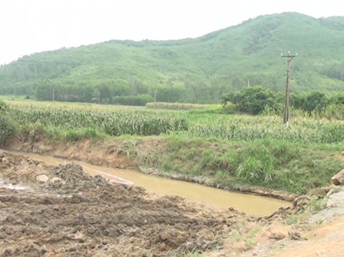 Khu vực phát hiện 3 quả đạn pháo.