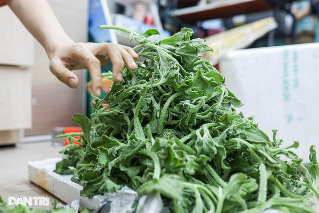Xuất hiện trên thị trường thời gian gần đây, rau bông tuyết hay còn gọi là rau kim cương có lá dày, trên mặt lá và thân có nhiều hạt lấp lánh như những bông tuyết trắng còn đọng lại, bất ngờ gây sốt. Đáng chú ý, giá thành của loại rau này không hề rẻ, song vẫn khiến nhiều người tò mò muốn một lần được thưởng thức.