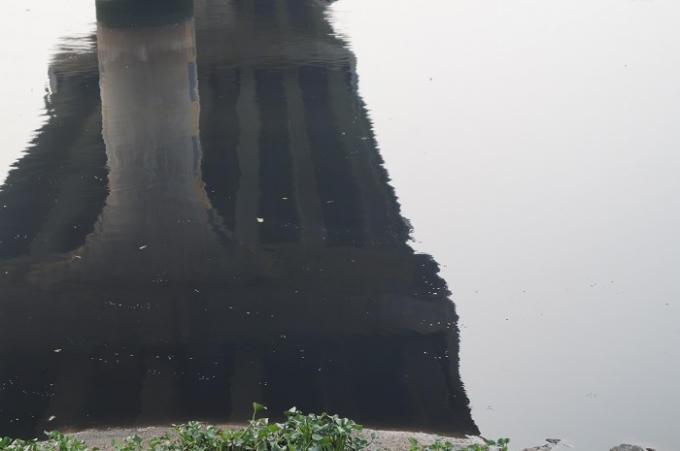 Dễ dàng nhìn thấy nước soogn Nhuệ chuyển màu đen ngòm.