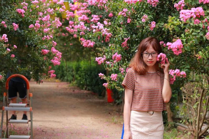 Trăm gốc tường vi đua nhau khoe sắc tại Tam Hiệp - Hà Nội - Hình 6