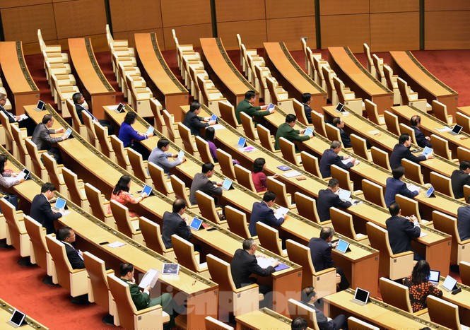 Kỳ họp đặc biệt tại Hội trường Diên Hồng - ảnh 7