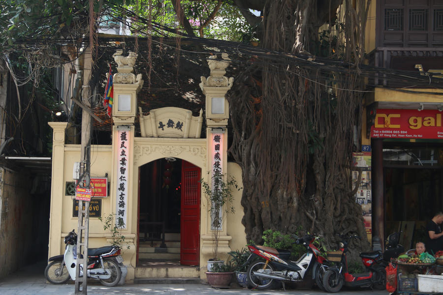 Kỳ lạ cây đa trăm tuổi với bộ rễ “khổng lồ”, chuyển màu trắng mỗi khi trời mưa ở Hà Nội - 9