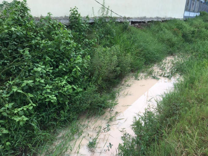 Mương thoát nước, tưới tiêu của nhân dân.