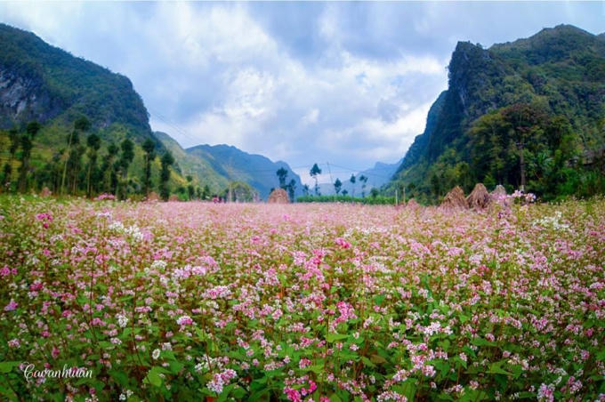 Những điểm đến không thể bỏ qua khi tới Hà Giang